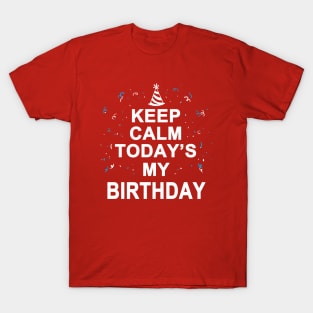 Birthday Gift For Birthday Celebrants T-Shirt